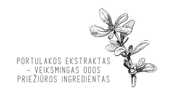 CHALURE Portulakos ekstraktas